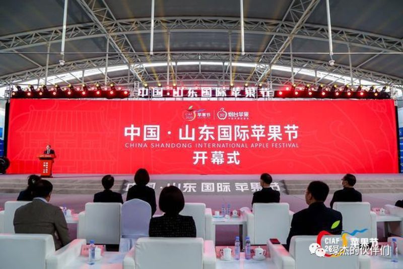 綠杰股份