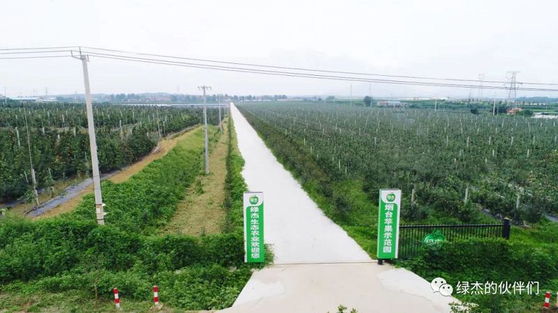 綠杰股份
