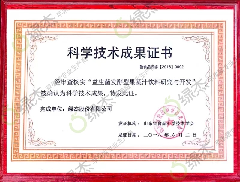 Technological Achievement 4 Technological Achievement 4