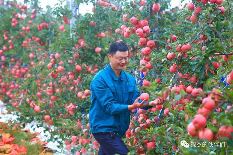 綠杰股份