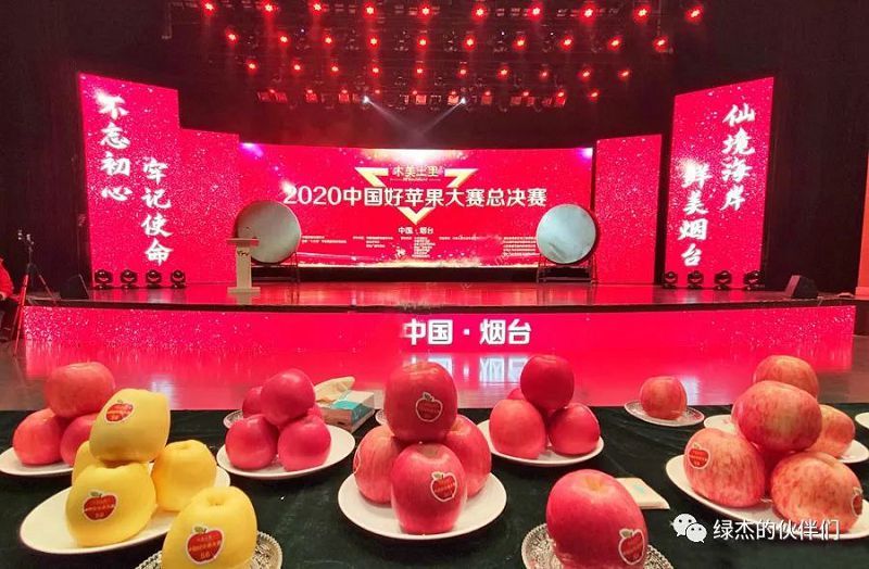綠杰股份