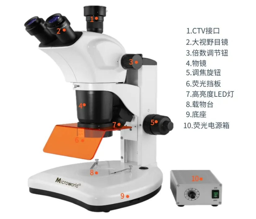 Tyen Electronic 