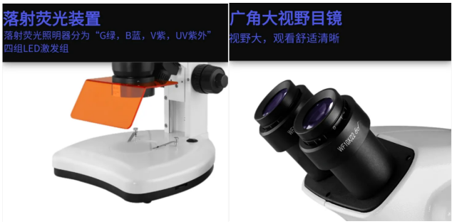 Tyen Electronic 
