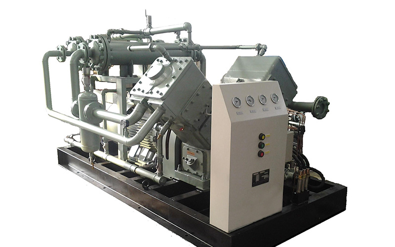 Biogas compressor