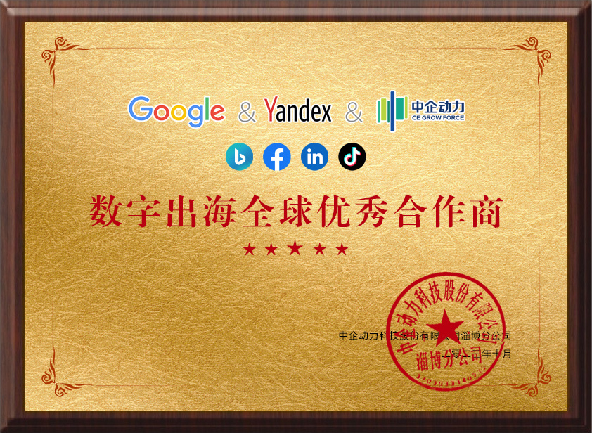 Shandong Taihui New Material Science and Technology Co., Ltd. was awarded the Digital Outbound Global Excellent Partner