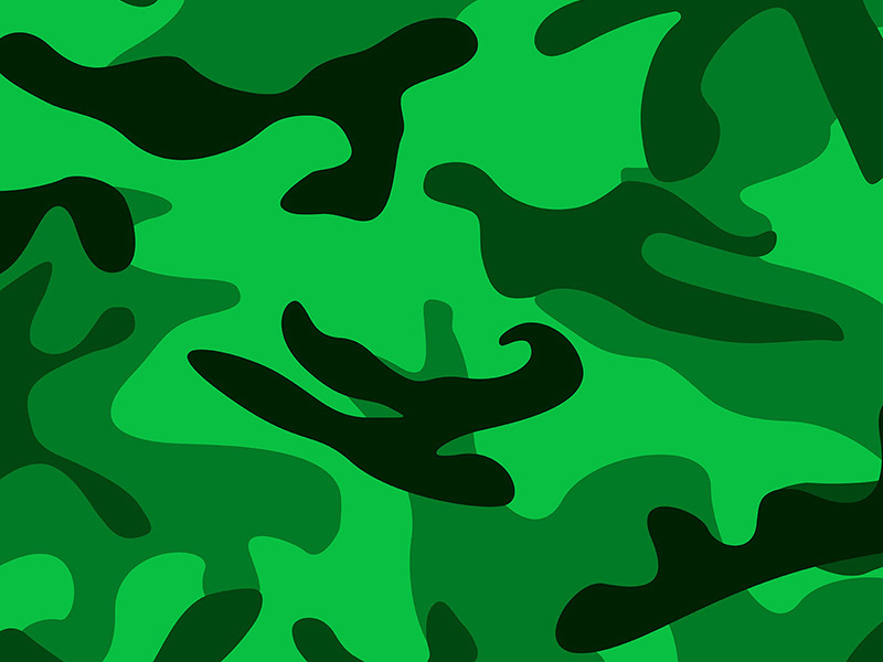 Camouflage type printing plate