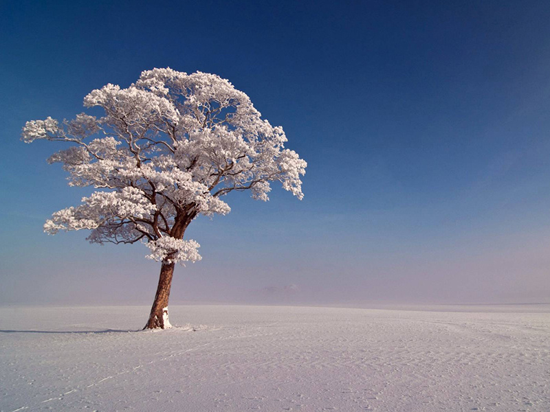 Those days of snow