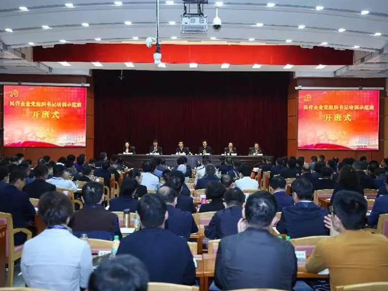 Comrade Zheng Datian, Secretary of the Party Committee, was invited to participate in the national private enterprise party organization secretary training demonstration class