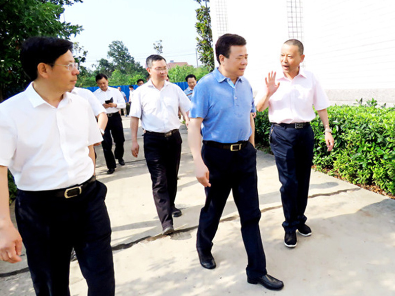 Chen Fei, Vice Governor of the Provincial Government, Investigated in Ping An Medical Equipment