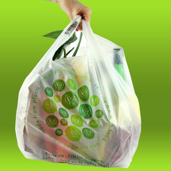 Compostable plastic shopping bag