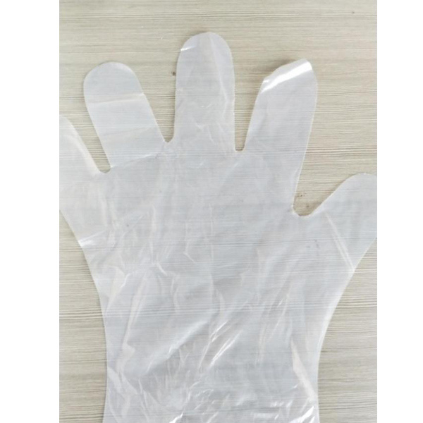 Compostable Kitchen Food Preparation Disposable Gloves