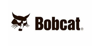 Bobcat