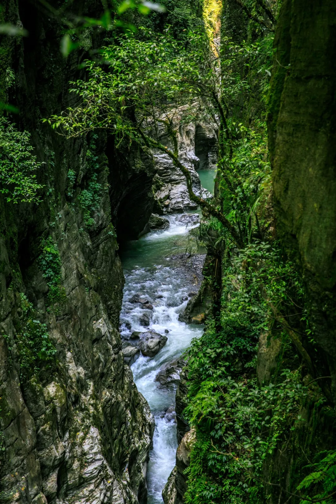 IMG_258