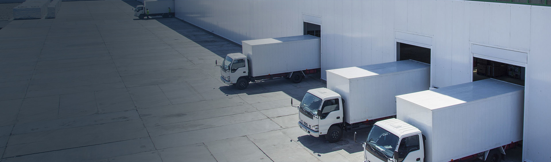 Experienced And Speed Logistic Support Experienced And Speed Logistic Support