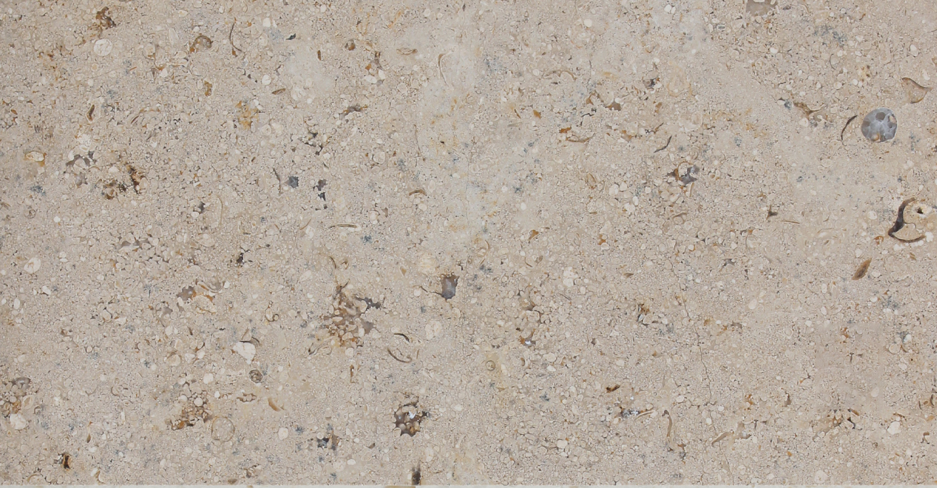 Beirute Limestone