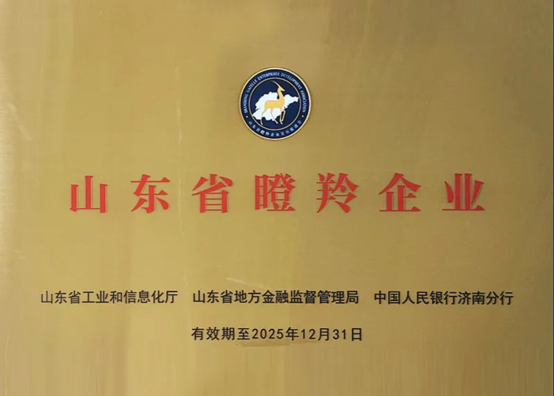 Shandong Antelope Enterprises