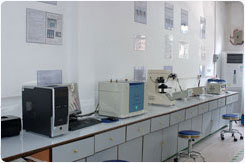 XRF environmental testing machine