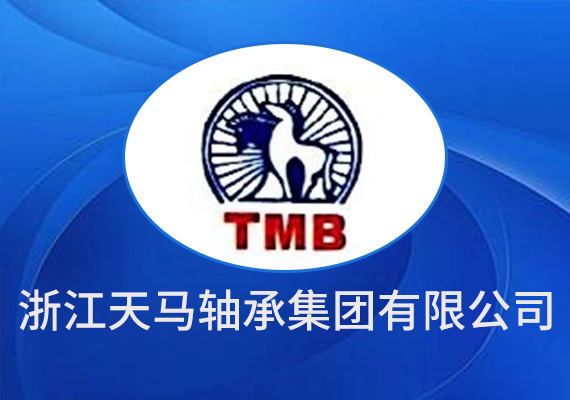 Zhejiang tianma bearing group co., ltd Zhejiang tianma bearing group co., ltd