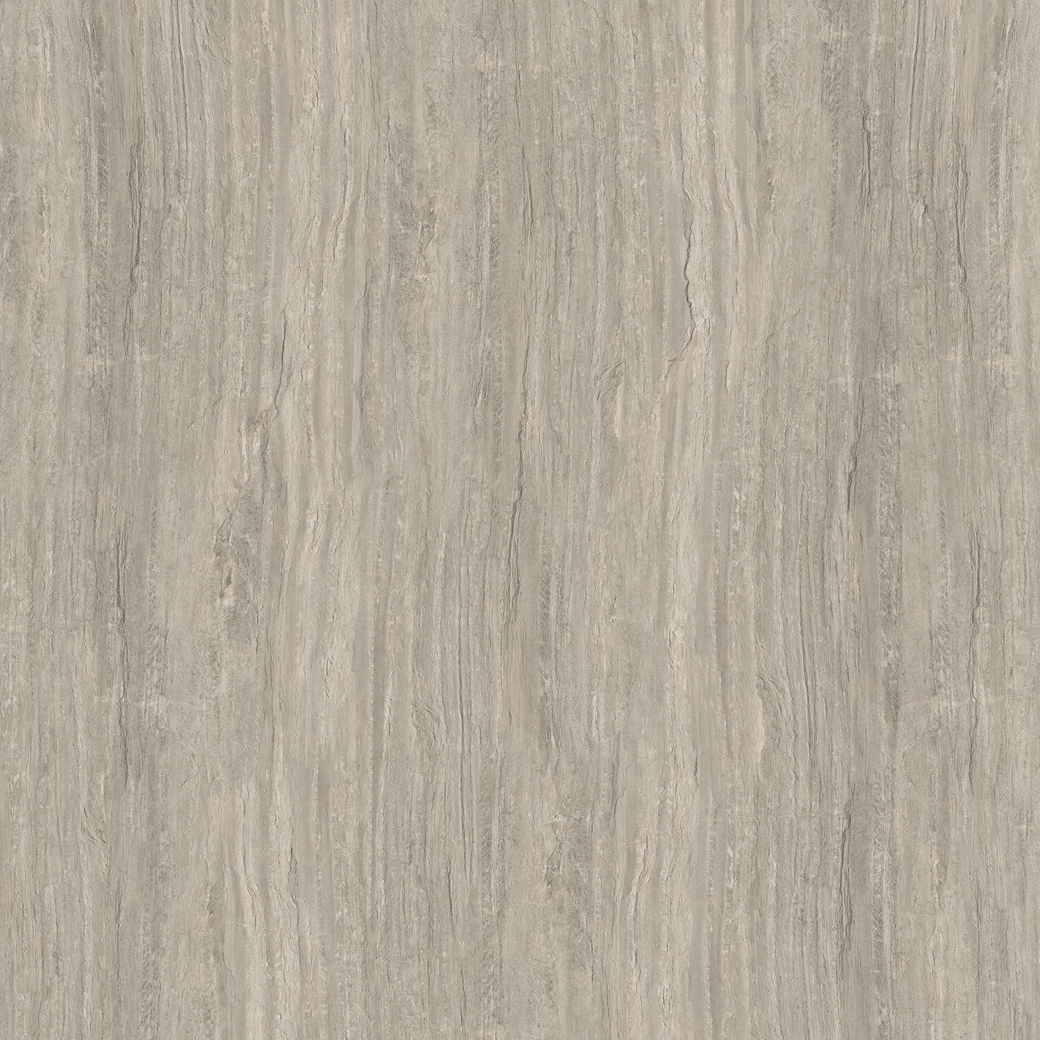 克里木化石 M5238