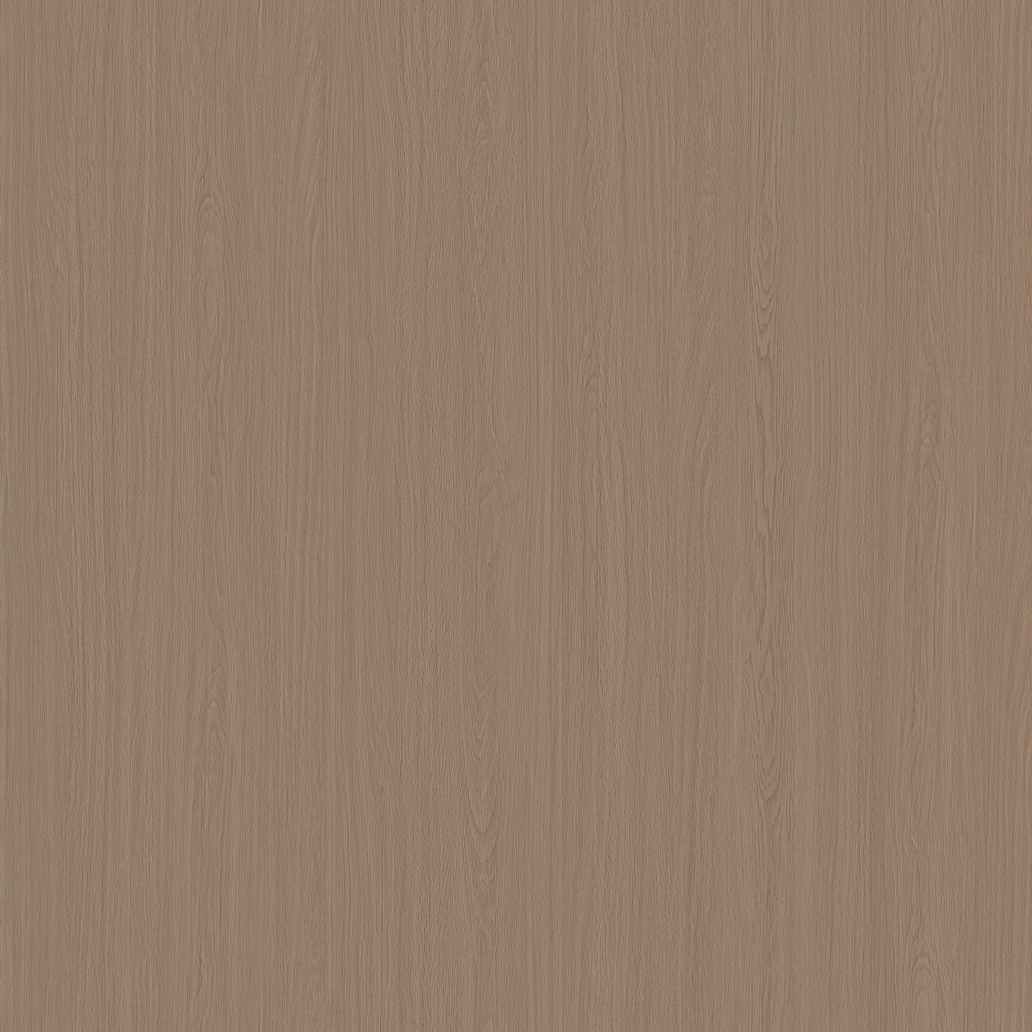 2736 羅奇堡橡
