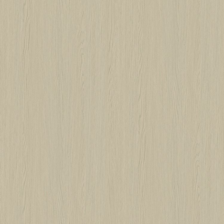 卡魯斯橡 2355