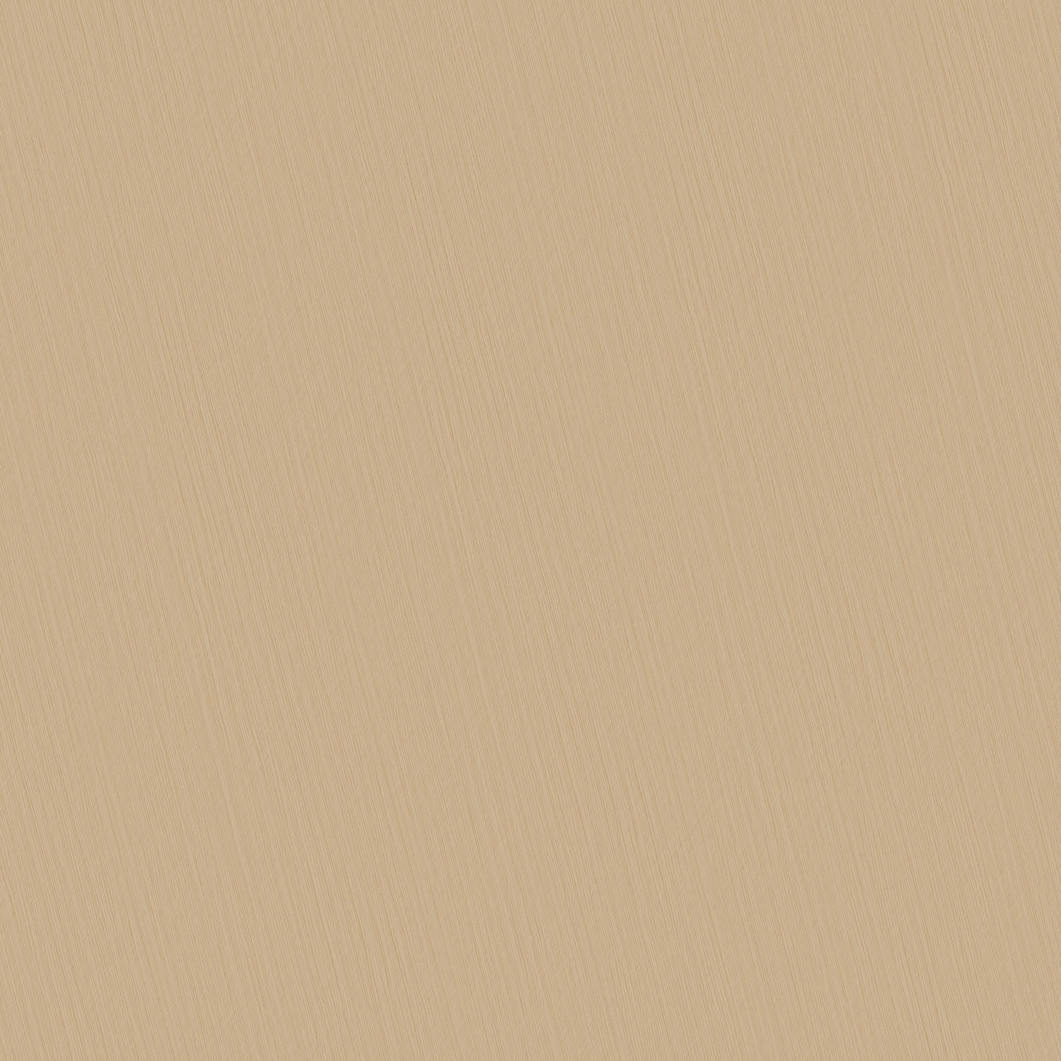 玉縷徑科 2206