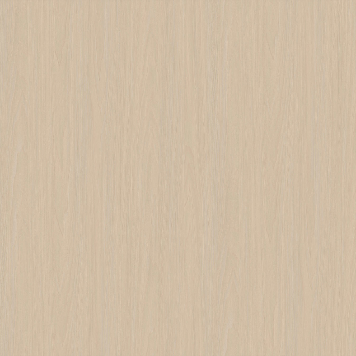 2686 沁棠彩揚(yáng)