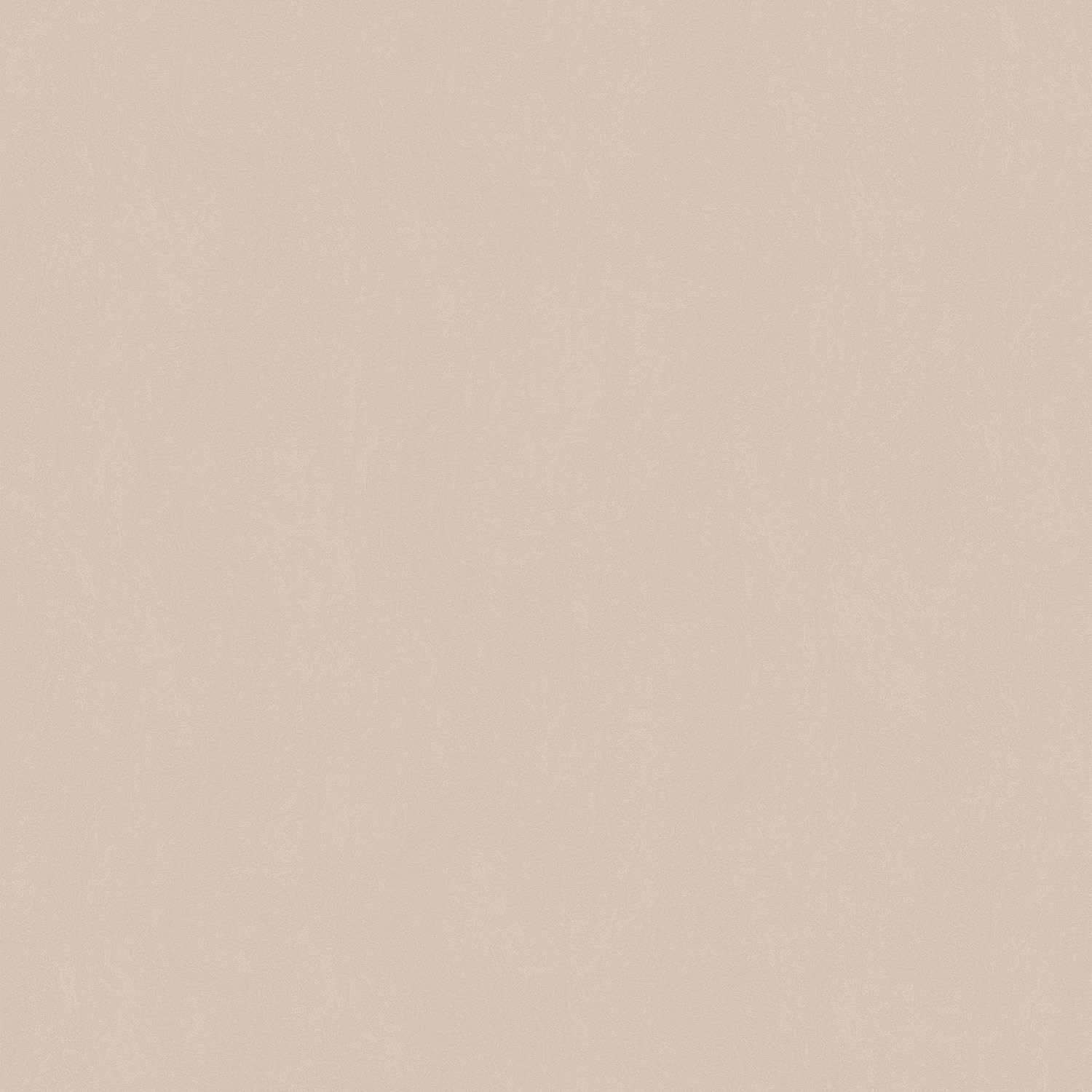 2777 綾羅綺布