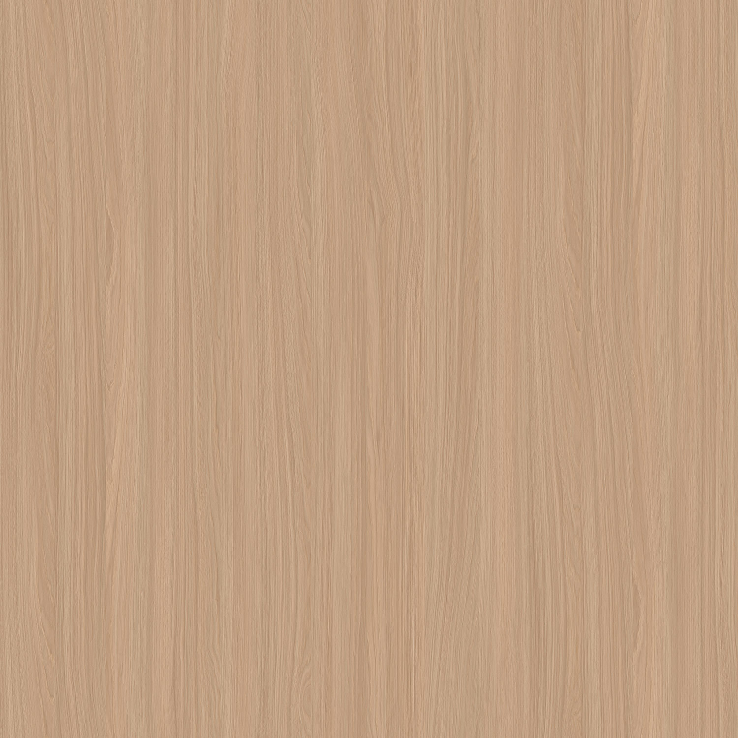 2688 衿香核桃