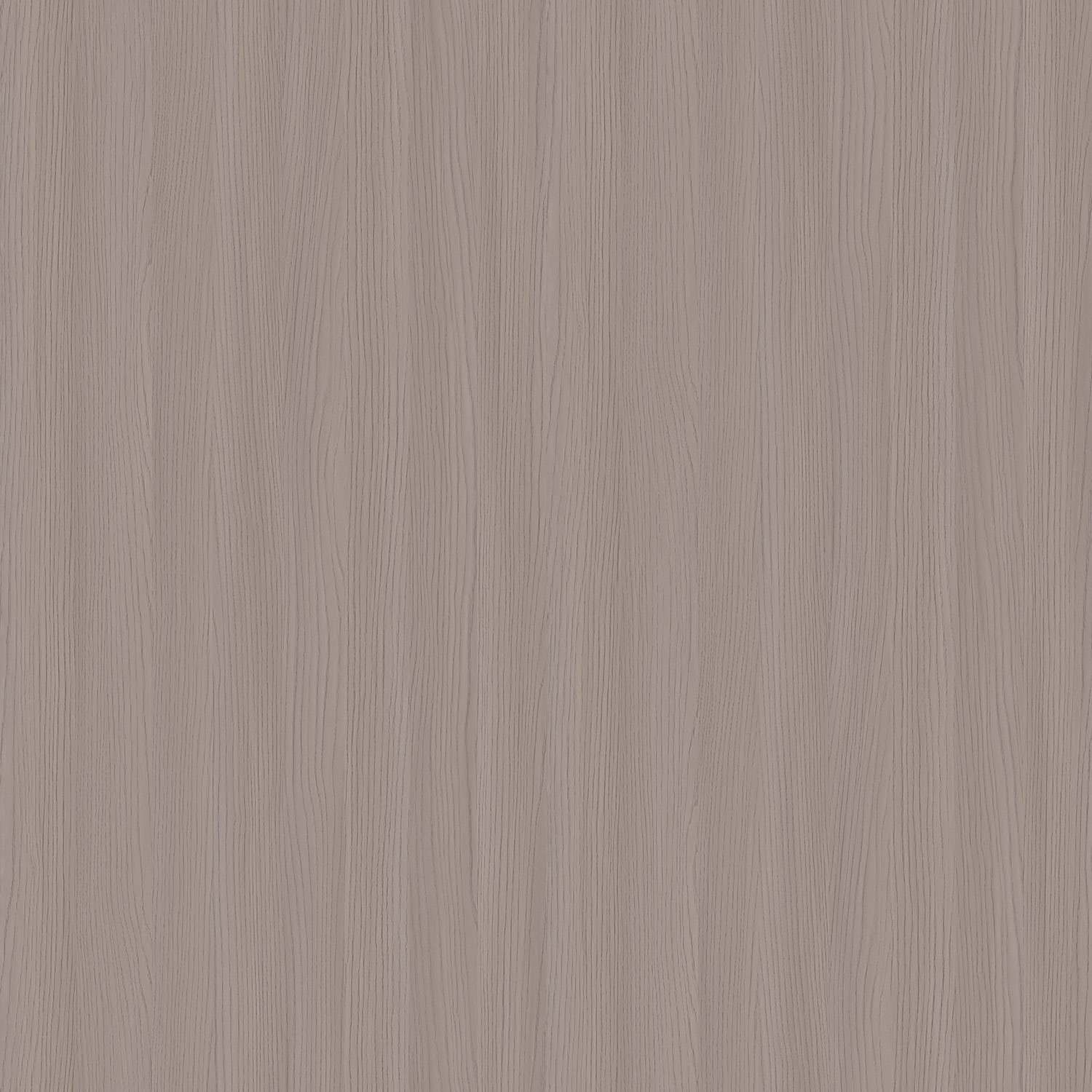 2779 霜朧透橡