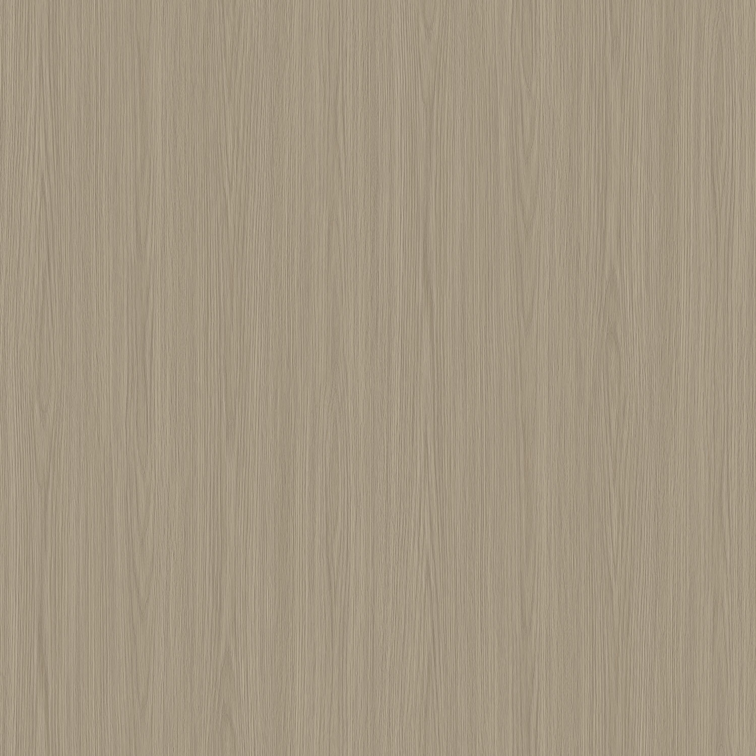 伯靈頓橡 2611