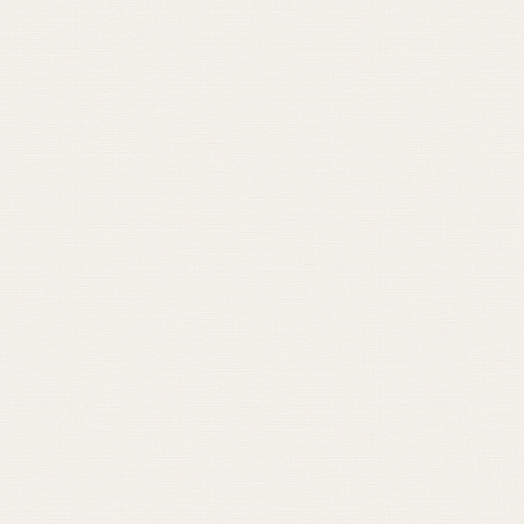 布負(fù)韶華 2531