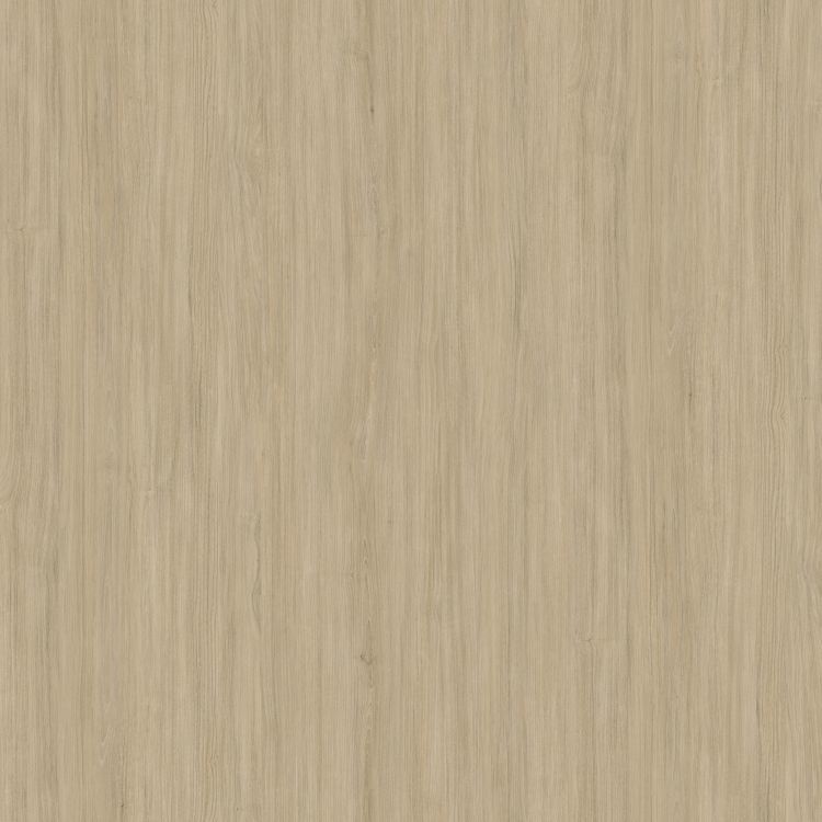 伯克山欖 2221