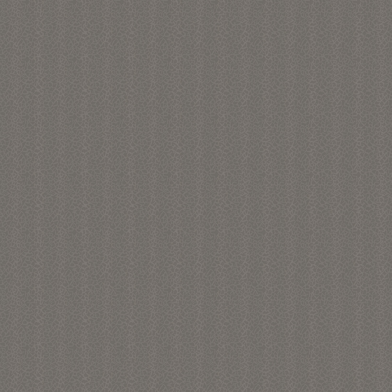 清秋紗靡 2552