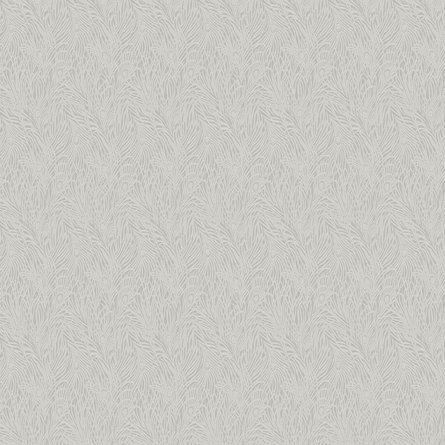 曼柔雀羽 2568