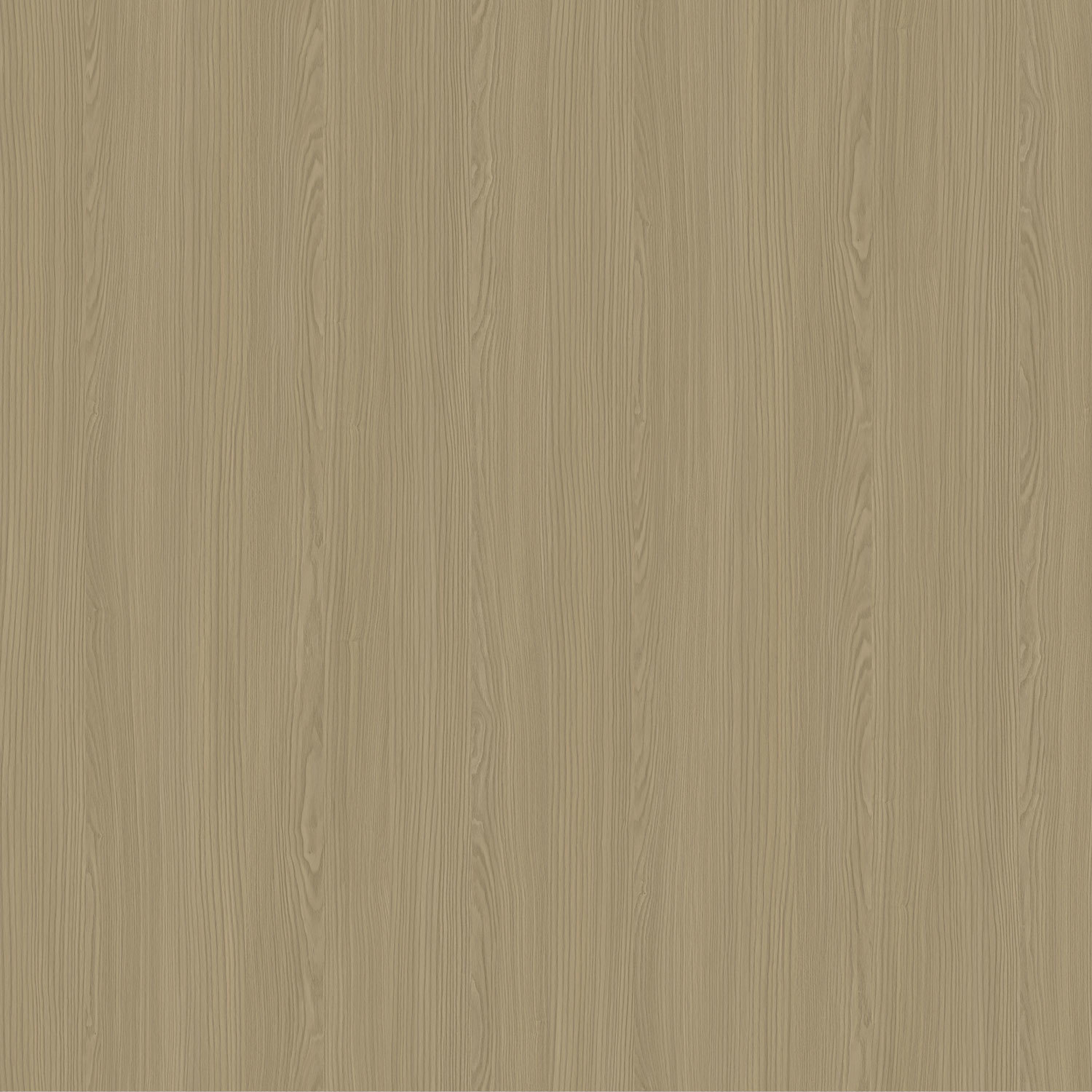 榆林修竹 2352