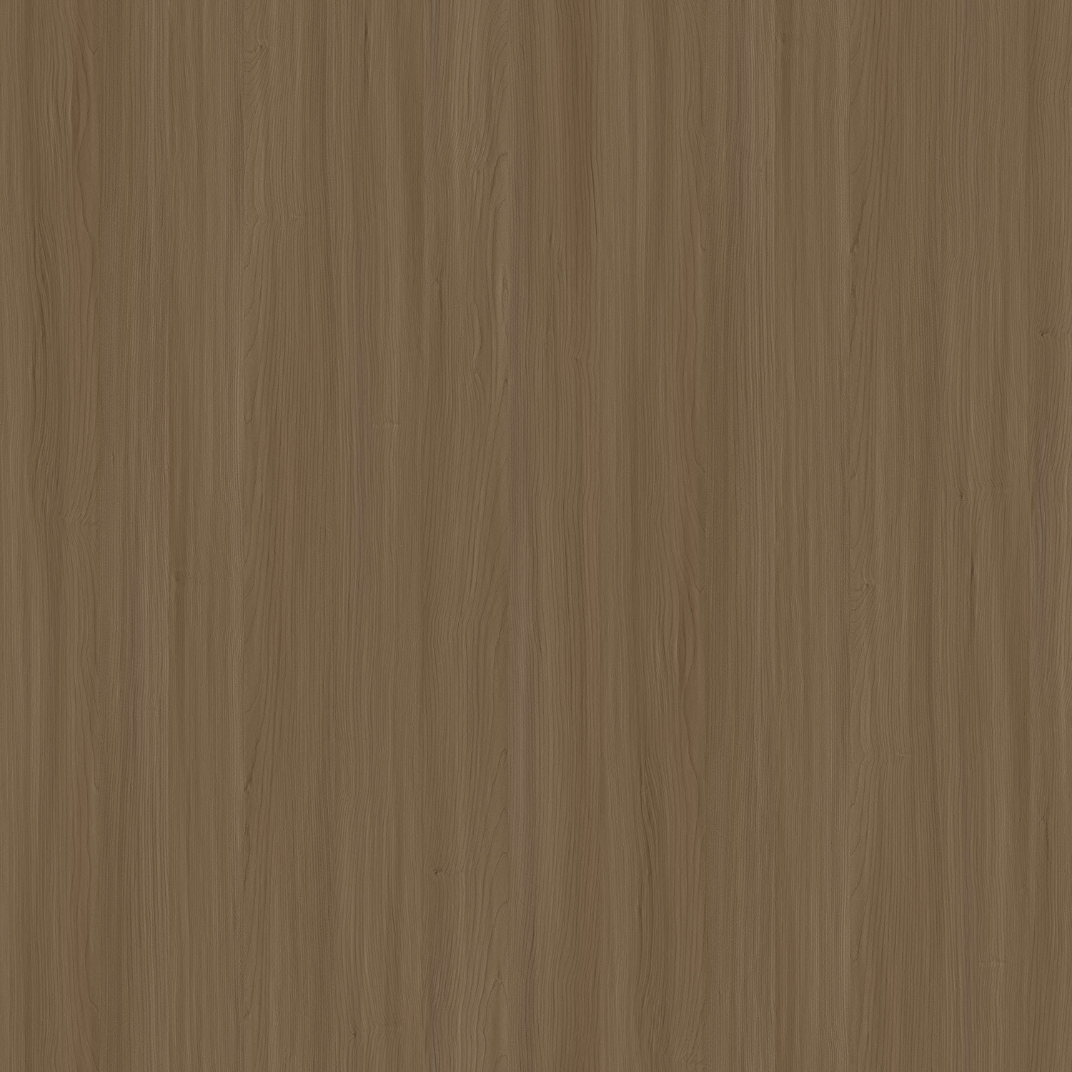 楓林曲意 2591
