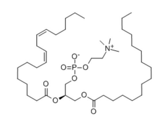 Lecithin (Phosphatidylcholine)