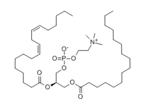 卵磷脂（高含量磷脂酰胆碱）
