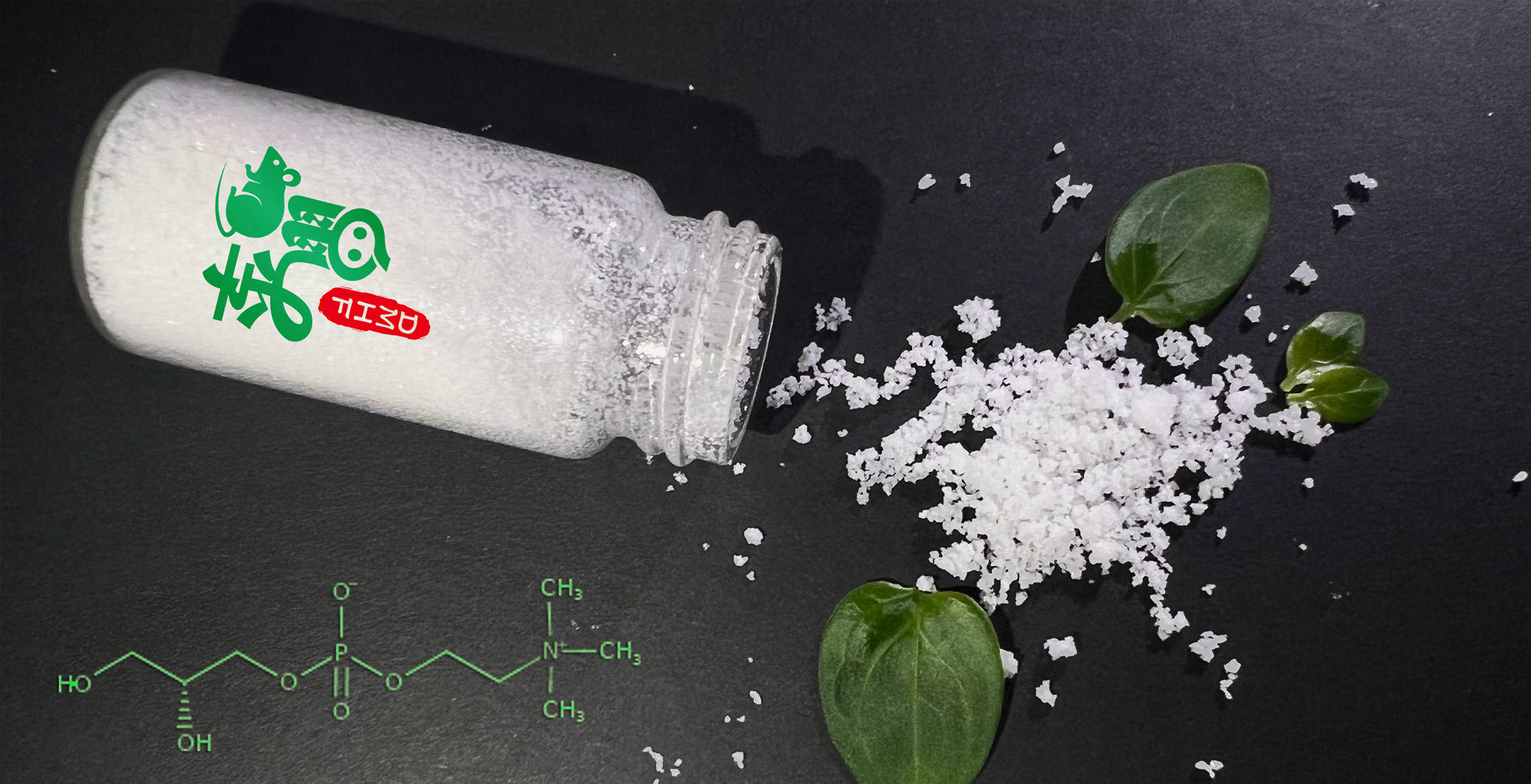 甘油磷酰胆碱