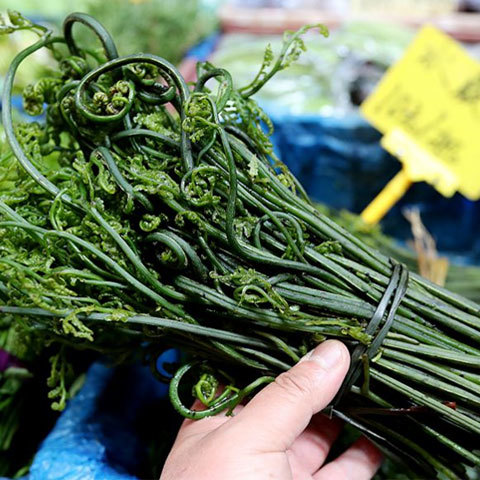 Spring health post, wild vegetables are delicious at that time, but these are poisonous weeds. Don't eat them!