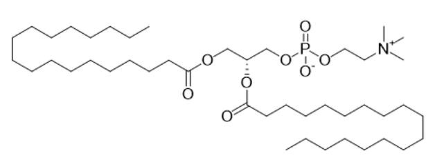 Hydrogenated Soybean Phosphatidylcholine