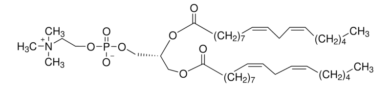 1,2-Dilinoleoyl-SN-glycero-3-phosphocholine