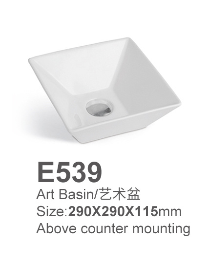 E539