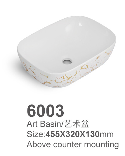 6003