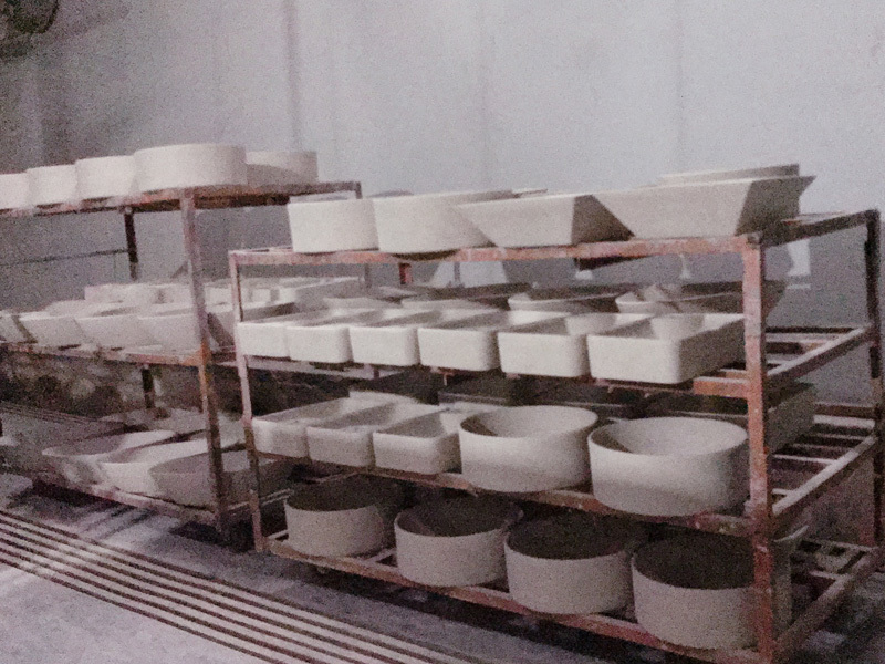 Plant03