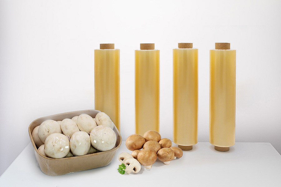 Mushroom Film