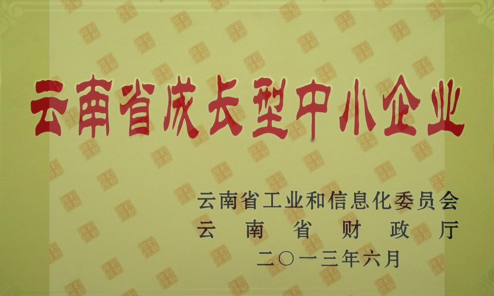 云南省成長型中小企業(yè)