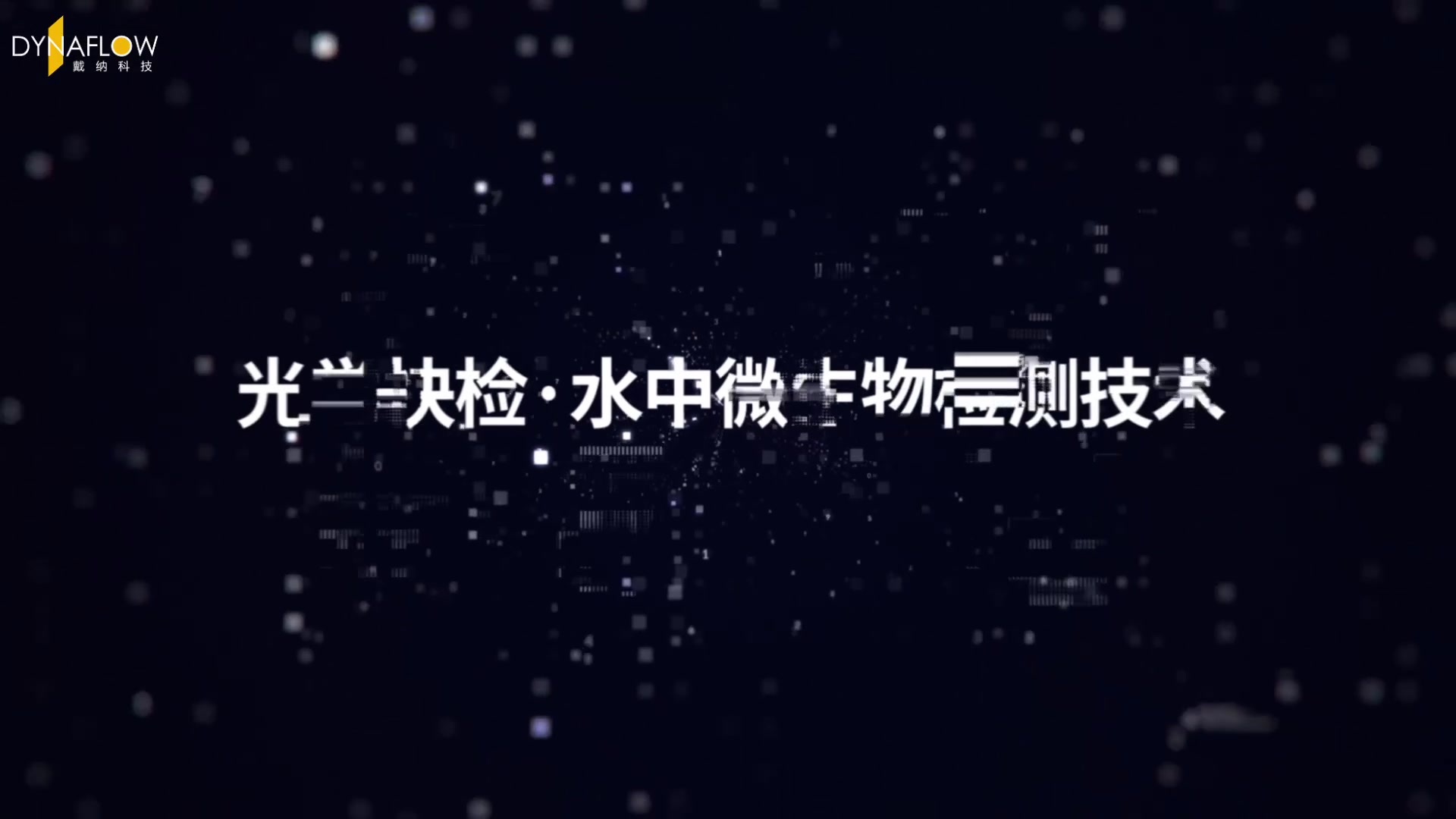 视频2