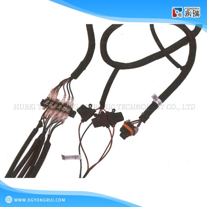 Low-Speed Vehicle Chassis Wiring Harness